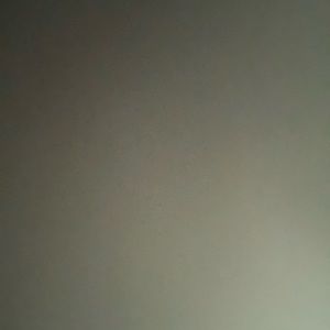 Meet your Posher, Hayden